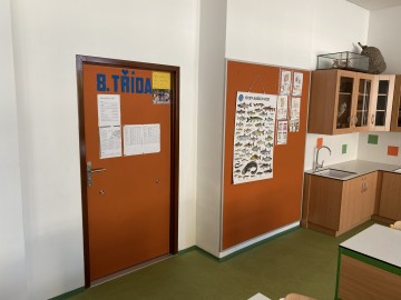 19033B-IMG_2916